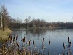 Lanaken