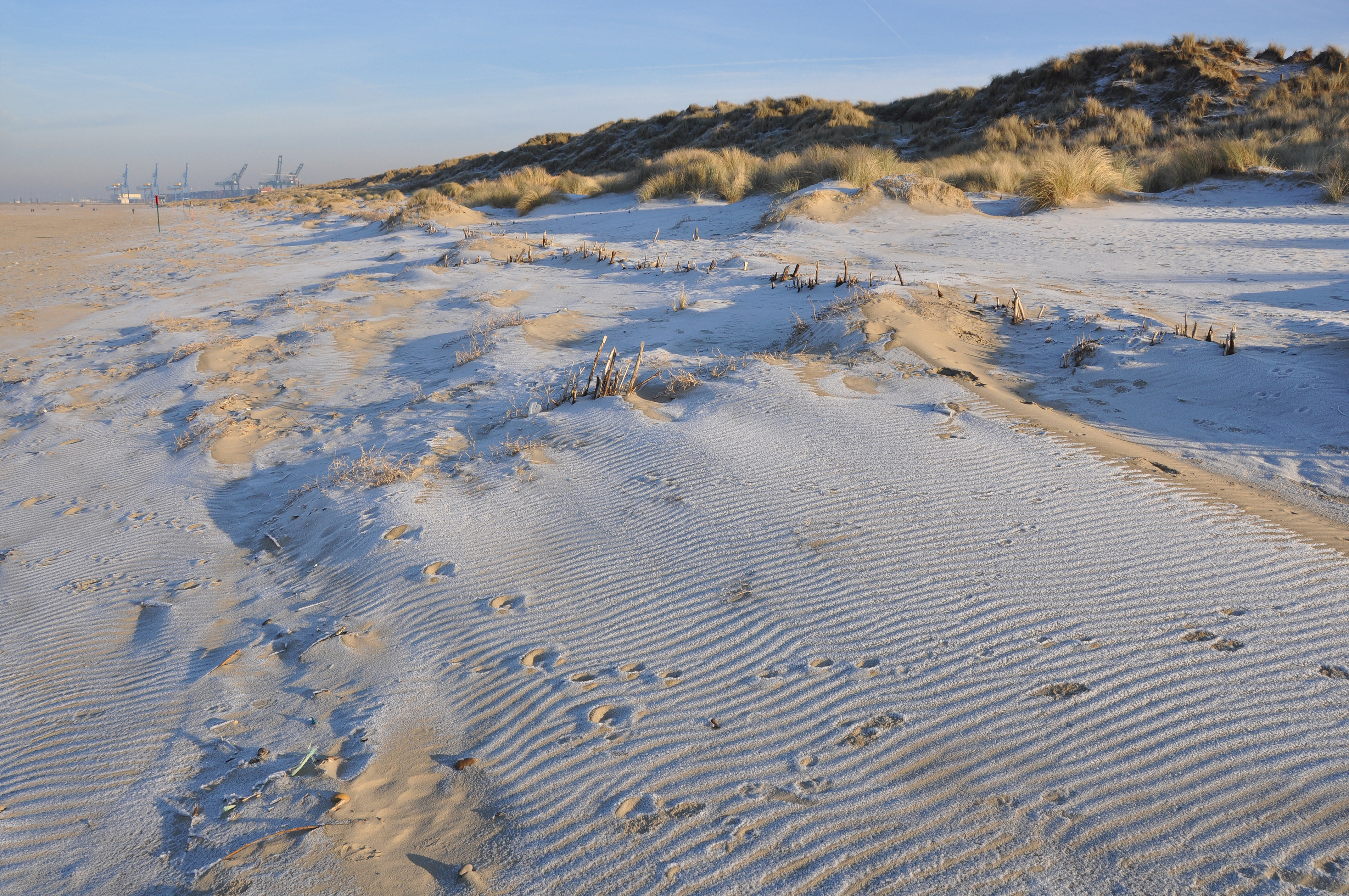 Brugge Westkant - Zeebrugge